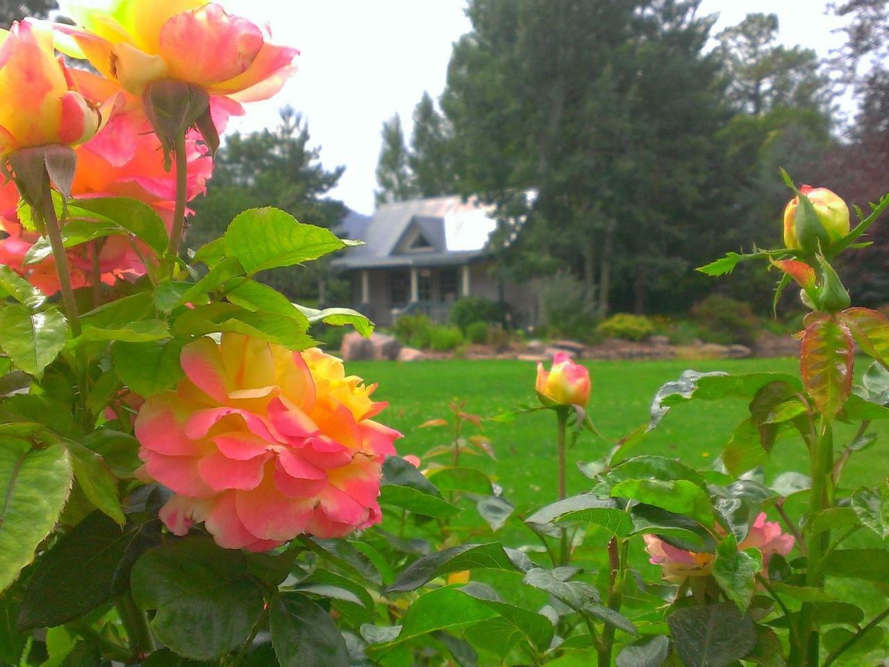 Hermosa Apple Orchard Inn מראה חיצוני תמונה